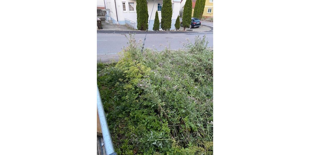 Einfamilienhaus Erbach - 20.000&euro; | Angebot:21877094