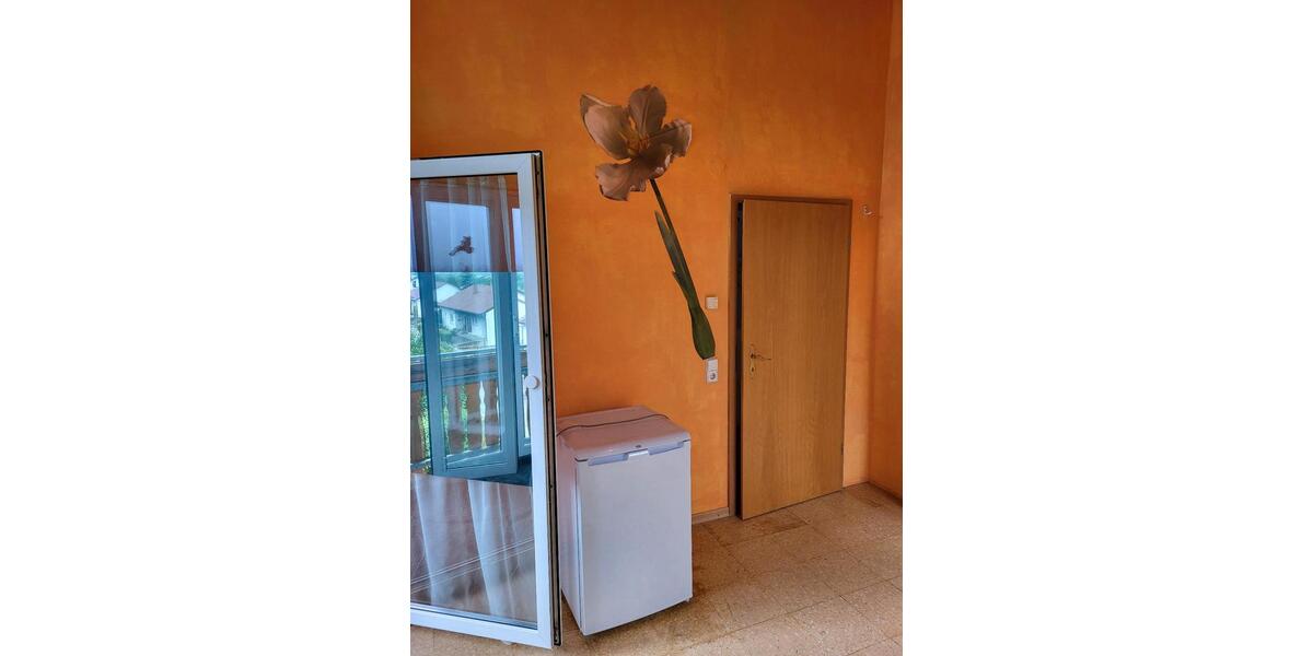 Etagenwohnung Ehingen (Donau) - 1 Zimmer, 30 m&sup2;, 452&euro; | Angebot:25407157