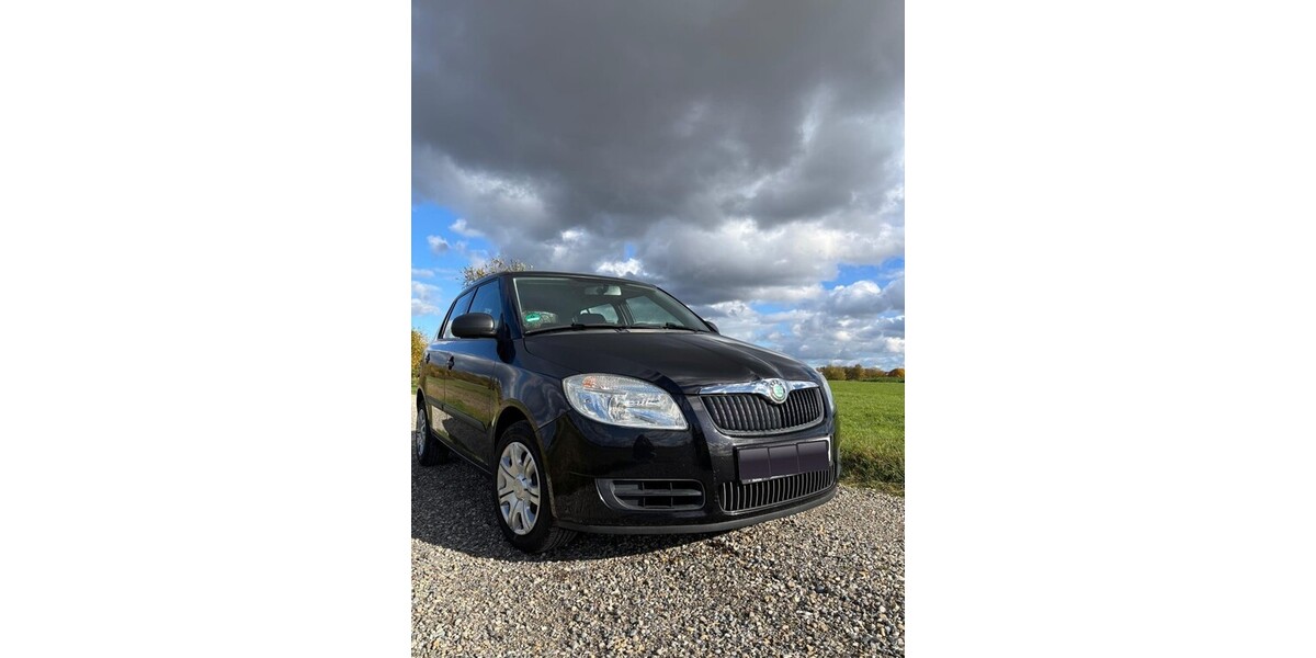 Skoda Fabia 118.449 km 2.999 &euro; Laupheim 88471