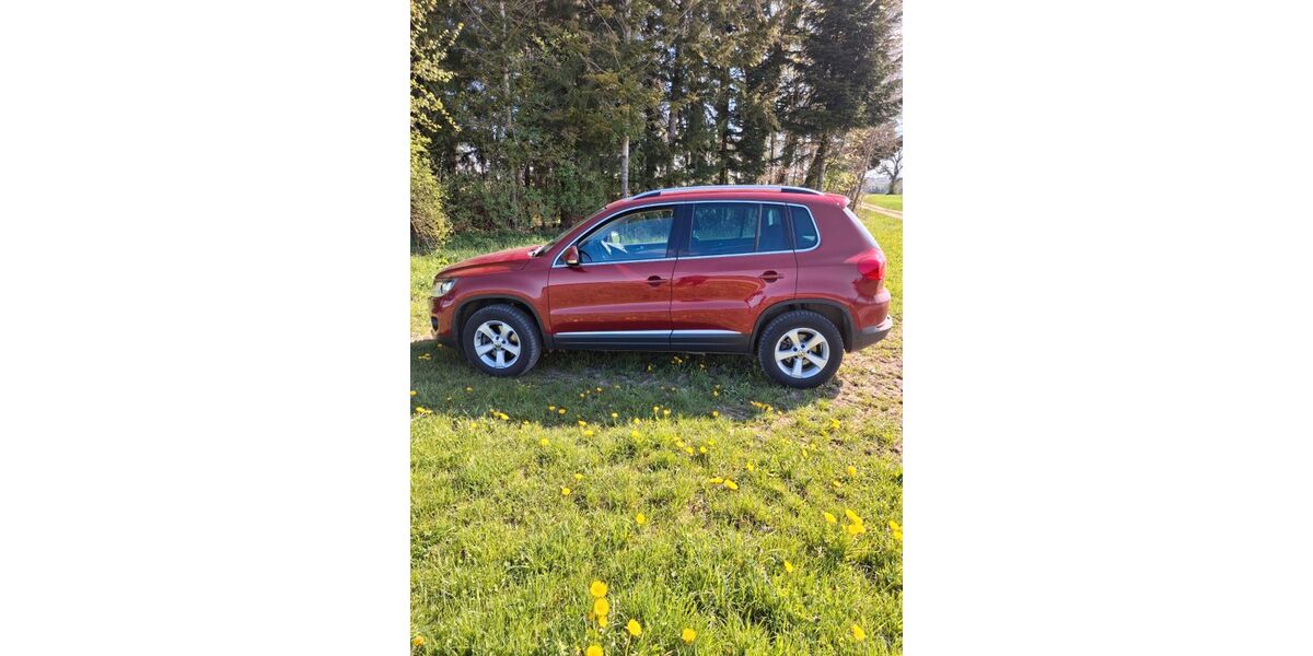 VW Tiguan 32.000 km 16.400 &euro; Maselheim 88437