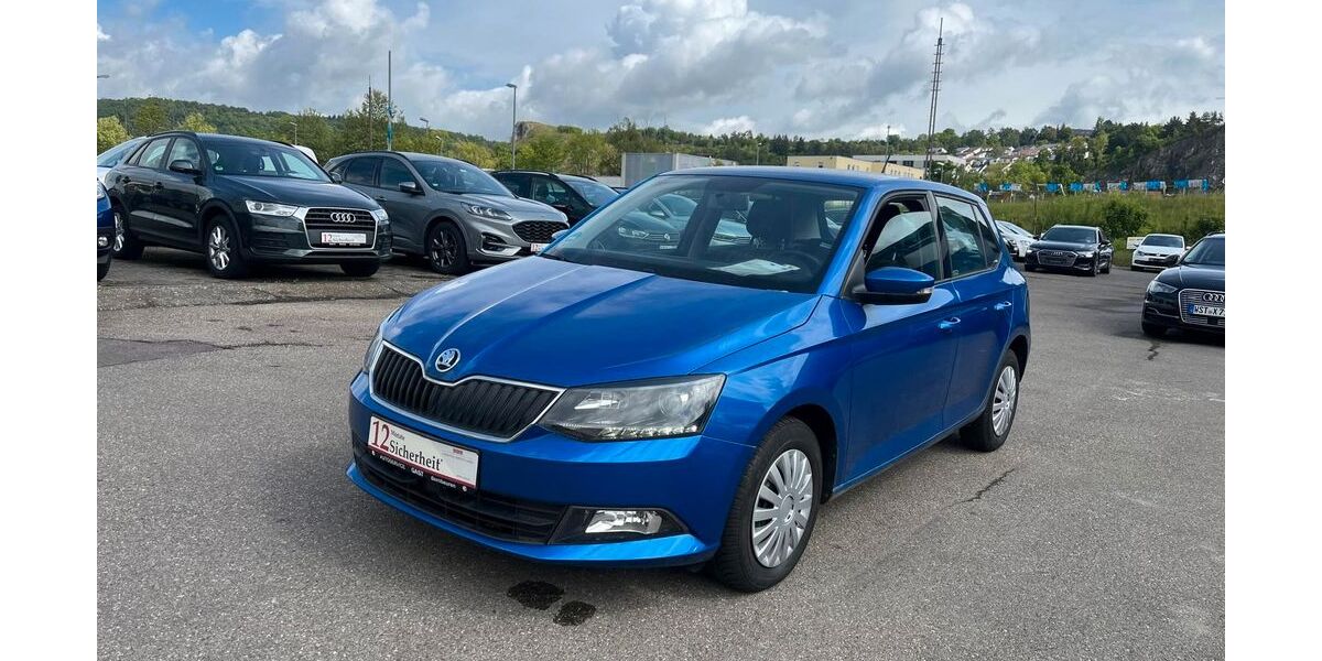 Skoda Fabia 118.000 km 7.999 &euro; Blaustein 89134