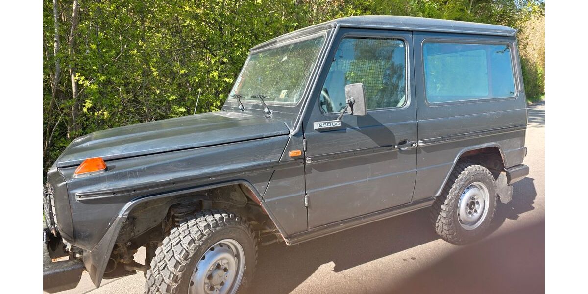 Mercedes-Benz G 290 151.000 km 30.001 &euro; Elchingen 89275