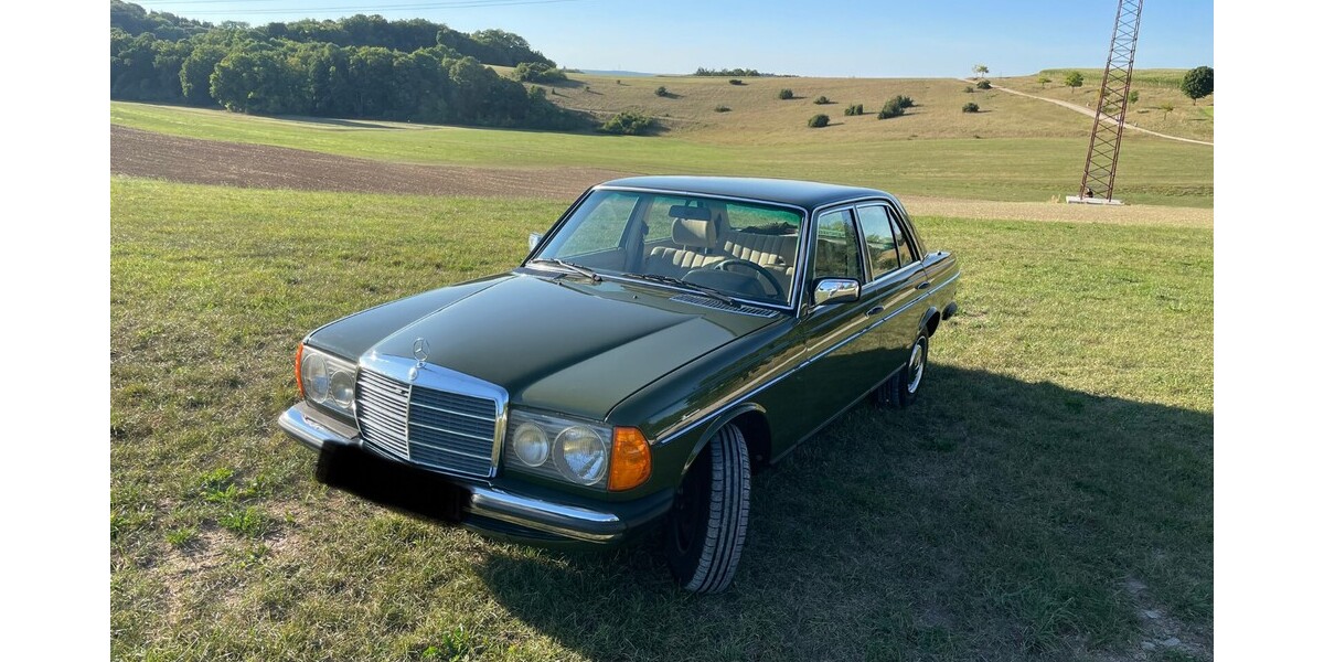 Mercedes-Benz E 230 205.850 km 9.600 &euro; Ulm 89073