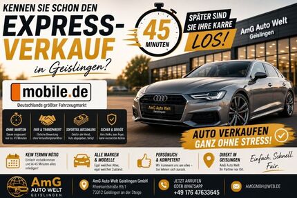 Seat Ibiza 134.500 km 6.999 &euro; Geislingen an der Steige 73312