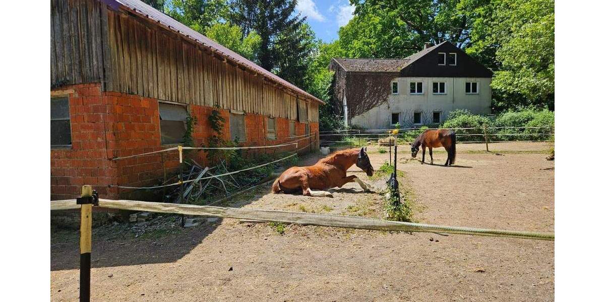 Mehrfamilienhaus, Wohnhaus Mietingen - 520.000&euro; | Angebot:25689280