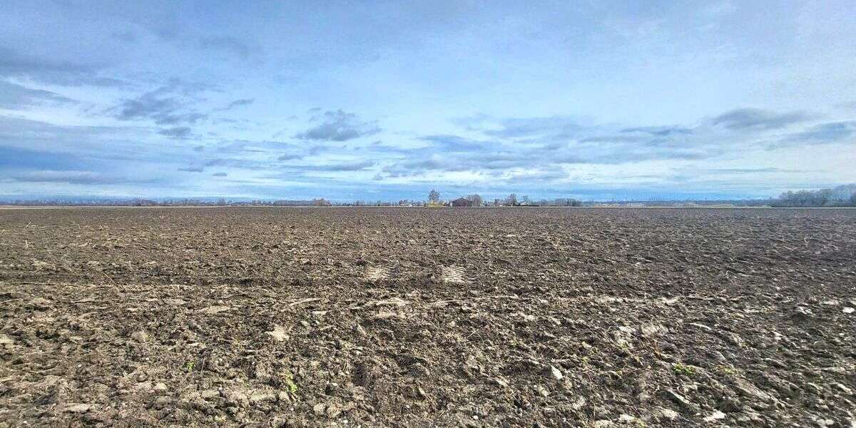 Grundstück Leipheim / Riedheim Riedheim - 1.000.000&euro; | Angebot:25928422