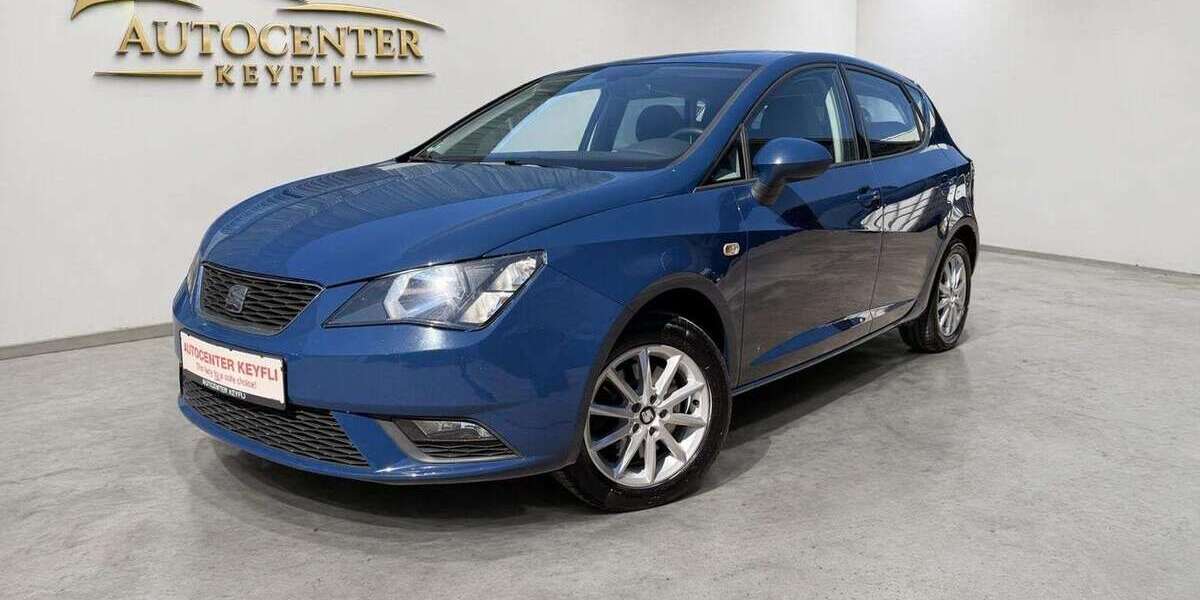 Seat Ibiza 130.000 km 8.480 &euro; Blaustein 89134