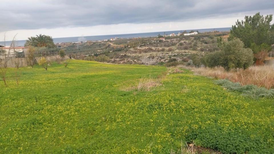 Einfamilienhaus Ulm Söflingen - 2 Zimmer, 50 m&sup2;, 330.000&euro; | Angebot:25872466