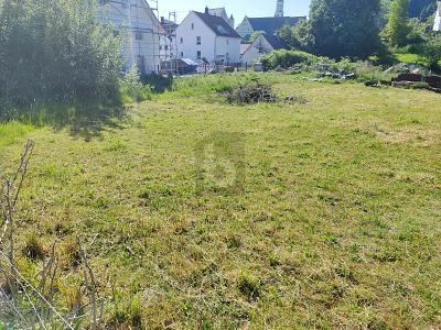 RUHIG GELEGEN MIT FREIER BAUGESTALTUNG - Grundstück Balzheim | Angebot:27079062