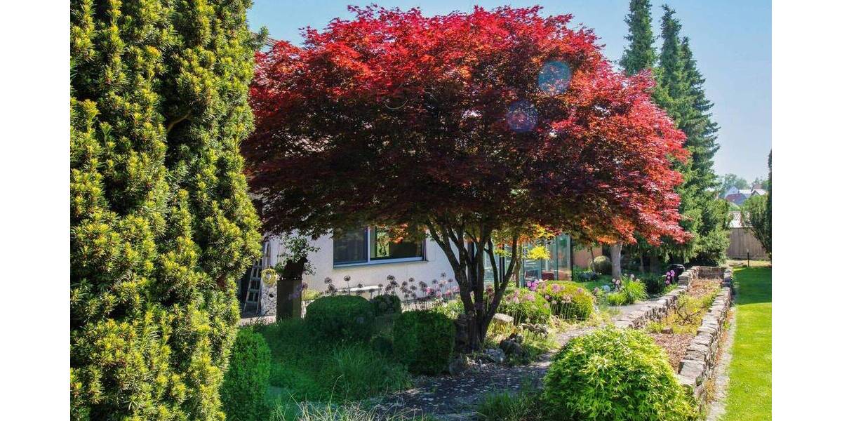 Einfamilienhaus Illerkirchberg Oberkirchberg - 5 Zimmer, 819.000&euro; | Angebot:26128595