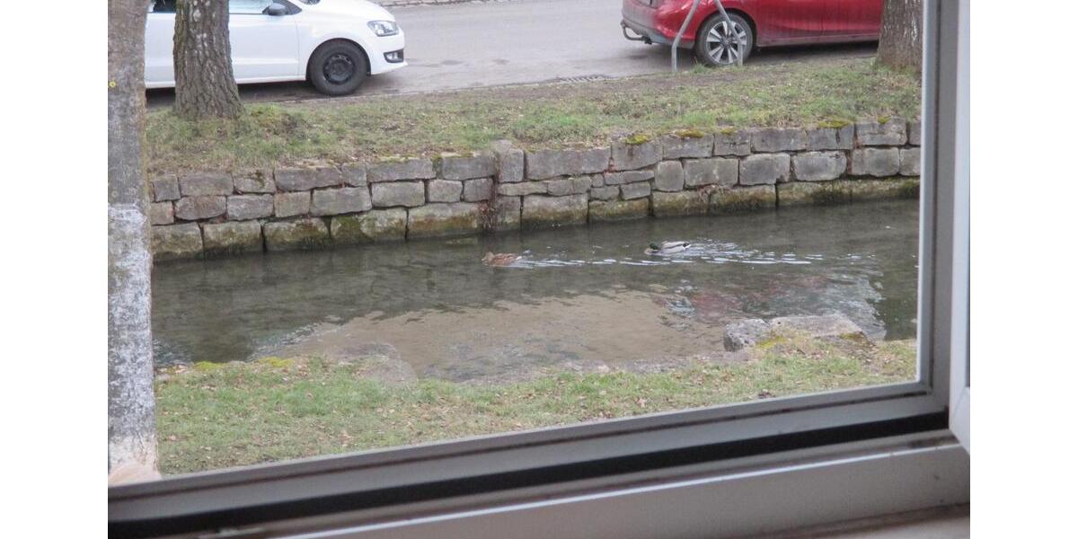 Reihenhaus Langenau - 3 Zimmer, 70 m&sup2;, 24&euro; | Angebot:25925465