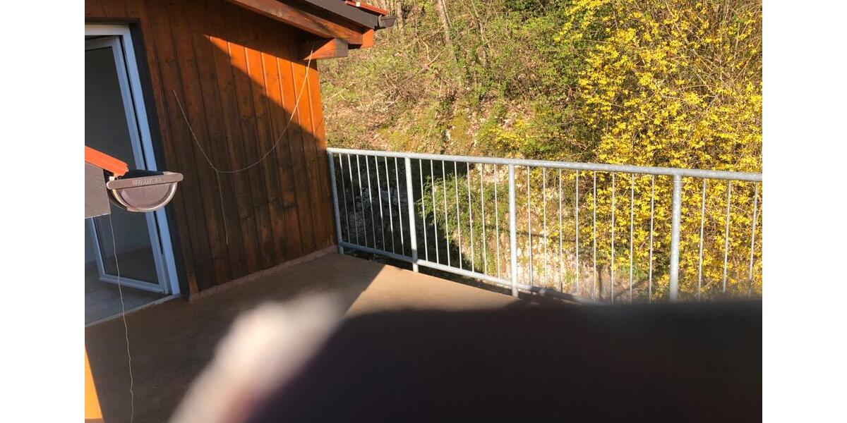 Dachgeschoßwohnung Blaustein - 2.5 Zimmer, 65 m&sup2;, 800&euro; | Angebot:26288227