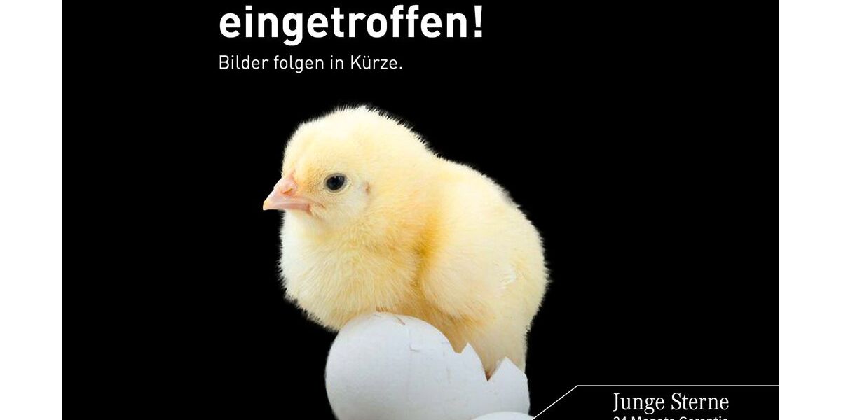 Mercedes-Benz CLE 200 6.087 km 59.970 &euro; Neu-Ulm 89231