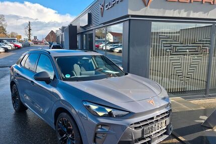 Cupra Terramar 6.550 km 45.990 &euro; Weidenstetten 89197