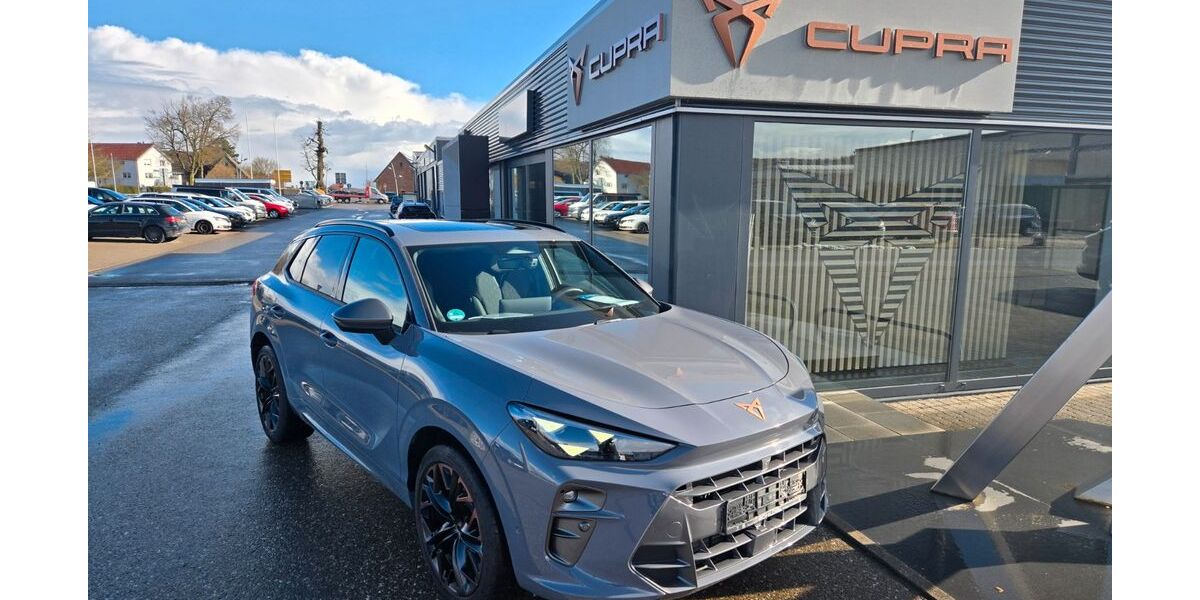 Cupra Terramar 6.550 km 45.990 &euro; Weidenstetten 89197