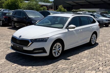 Skoda Octavia 240.000 km 11.950 &euro; Erbach bei Ulm 89155