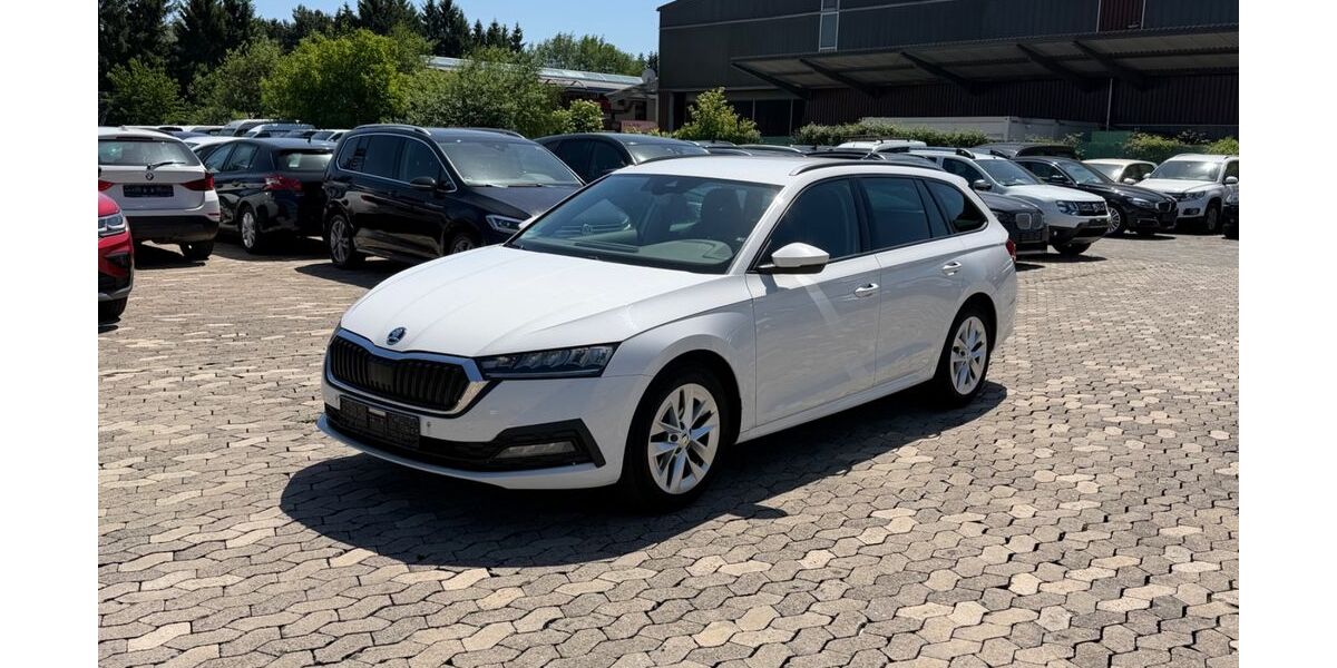 Skoda Octavia 240.000 km 11.950 &euro; Erbach bei Ulm 89155