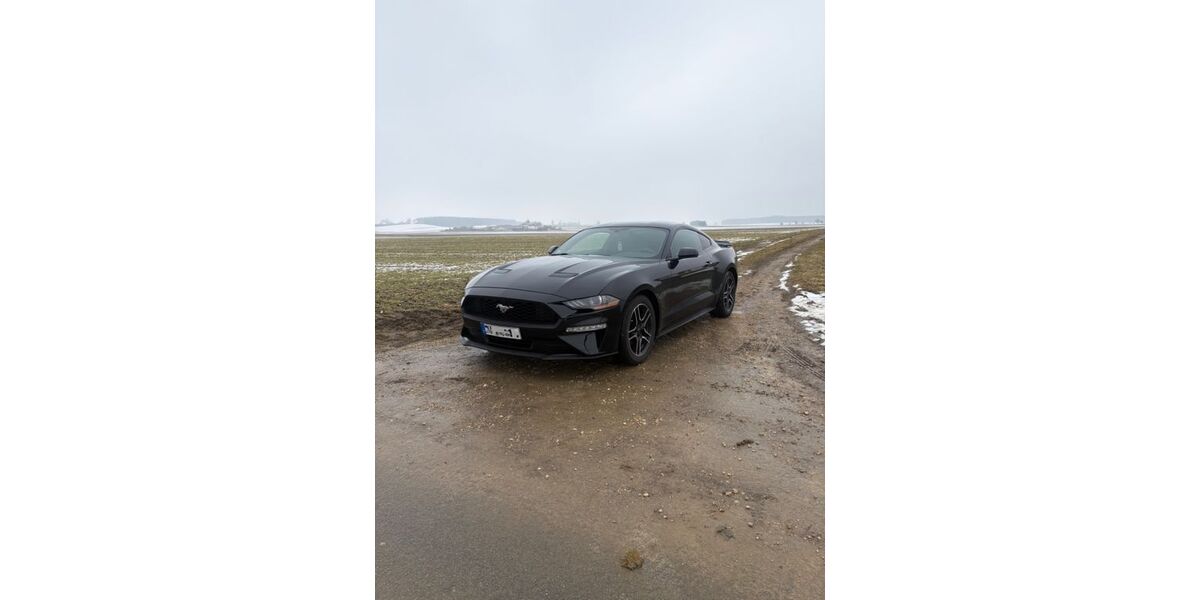 Ford Mustang 165.000 km 17.500 &euro; Ehingen 89584