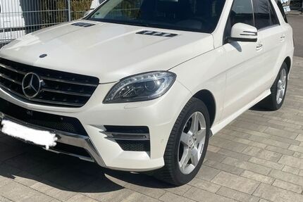 Mercedes-Benz ML 350 275.860 km 16.950 &euro; Ulm 89079