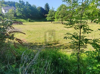 RUHIG GELEGEN MIT FREIER BAUGESTALTUNG - Grundstück Balzheim | Angebot:27079062