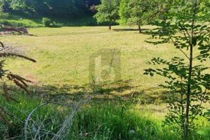RUHIG GELEGEN MIT FREIER BAUGESTALTUNG - Grundstück Balzheim | Angebot:26945015