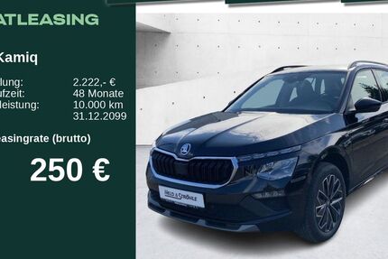 Skoda Kamiq 3.500 km 31.850 &euro; Neu-Ulm 89231