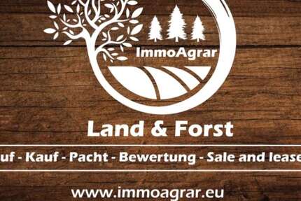 Grundstück Breitenthal Nattenhausen - 85.000&euro; | Angebot:20227839