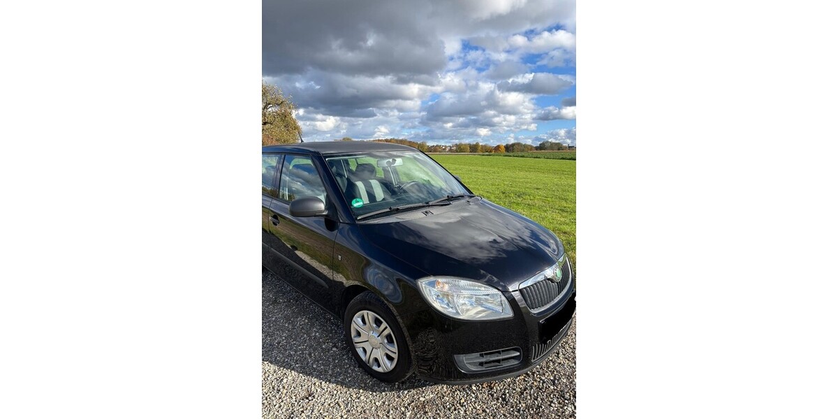 Skoda Fabia 118.449 km 2.999 &euro; Laupheim 88471