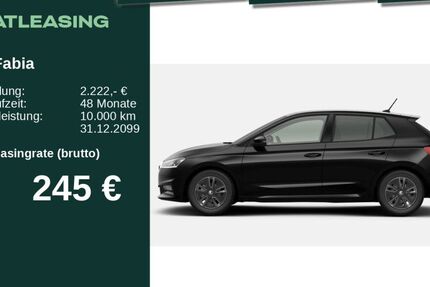 Skoda Fabia 3.500 km 23.950 &euro; Neu-Ulm 89231
