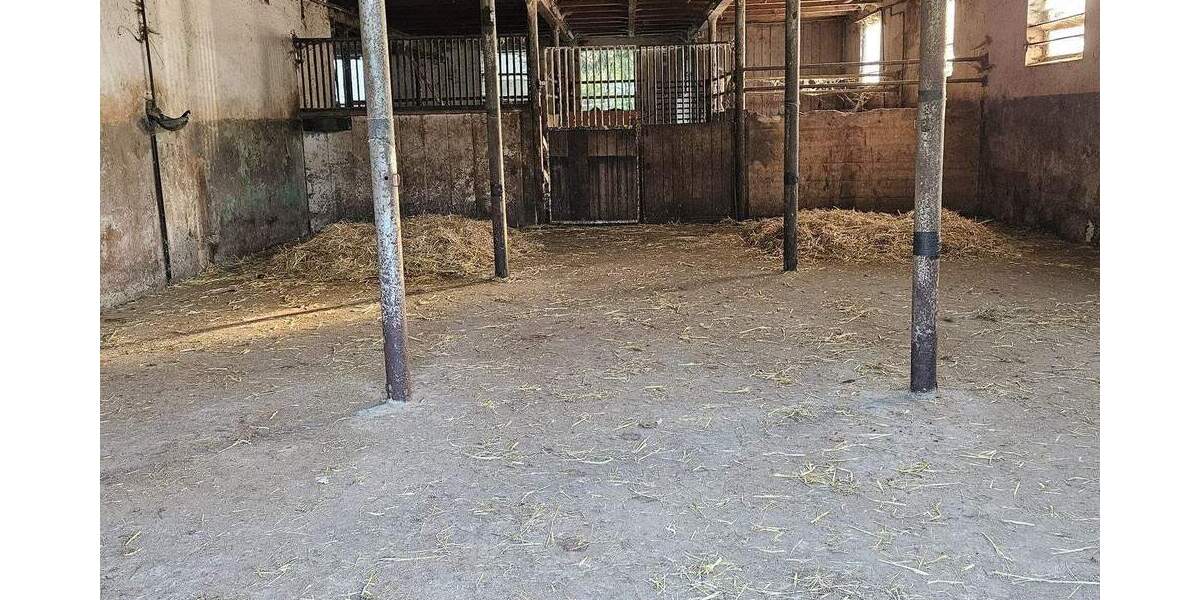 Mehrfamilienhaus, Wohnhaus Mietingen - 520.000&euro; | Angebot:25689280