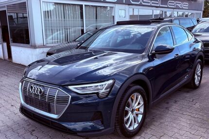 Audi e-tron 149.000 km 19.490 &euro; Ulm-Jungingen 89081