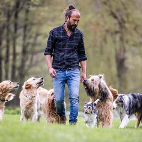 Sami El Ayachi - Der zugewandte Hund! 06.02.2027 Stadthaus Ulm