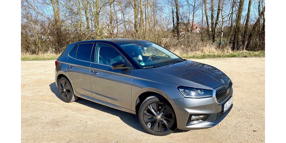 Skoda Fabia 25.000 km 17.500 &euro; Ulm 89079