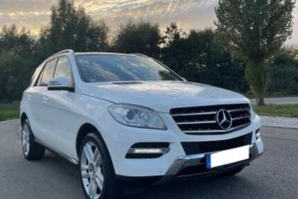 Mercedes-Benz ML 350 280.000 km 14.900 &euro; Geislingen 73312