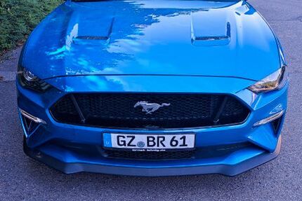 Ford Mustang 65.000 km 37.000 &euro; Hochwang 89335