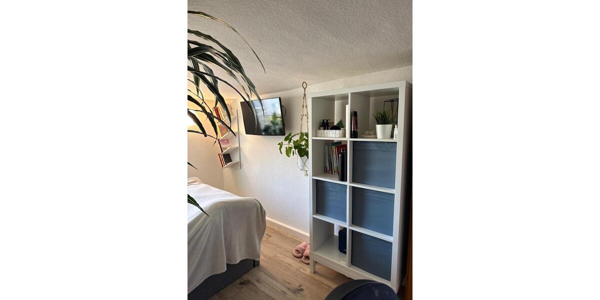 Einfamilienhaus Ulm Donautal - 5 Zimmer, 110 m&sup2;, 1.330&euro; | Angebot:26533921