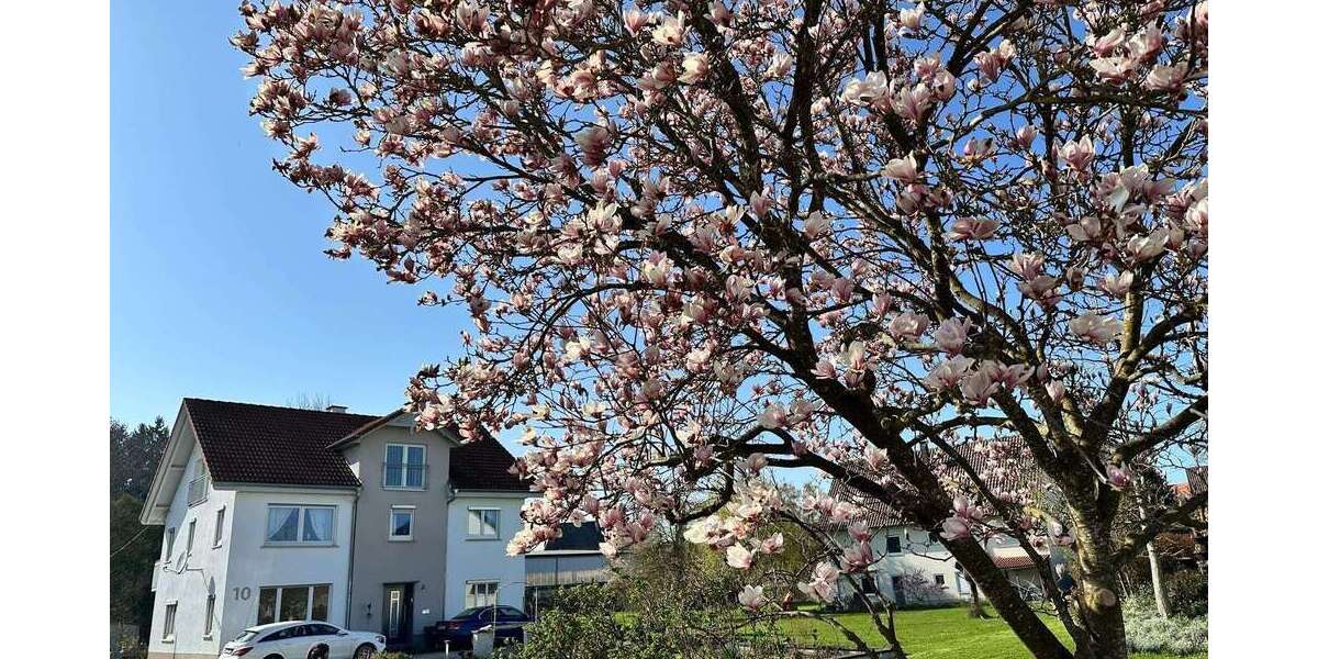 Einfamilienhaus Schemmerhofen - 7.5 Zimmer, 266 m&sup2;, 448.000&euro; | Angebot:26166669