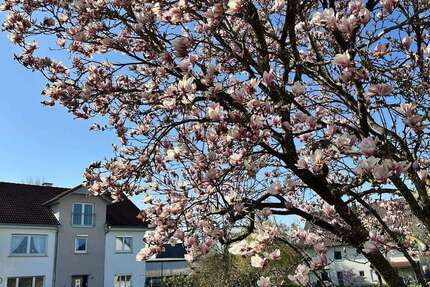 Haus Schemmerhofen - 7.5 Zimmer, 266 m&sup2;, 448.000&euro; | Angebot:26166669