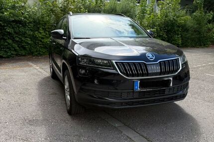 Skoda Karoq 225.000 km 15.500 &euro; Neu-Ulm 89231
