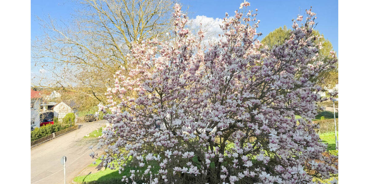 Etagenwohnung Ulm Jungingen - 3 Zimmer, 97 m&sup2;, 1.115&euro; | Angebot:26244902