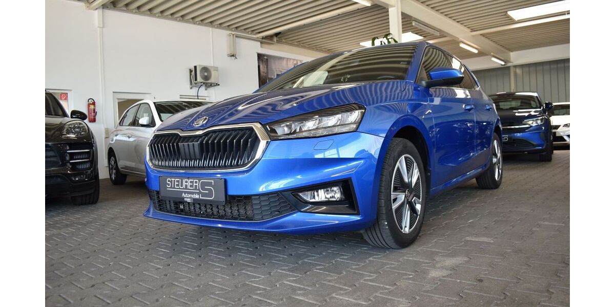 Skoda Fabia 79.195 km 18.800 &euro; Senden 89250