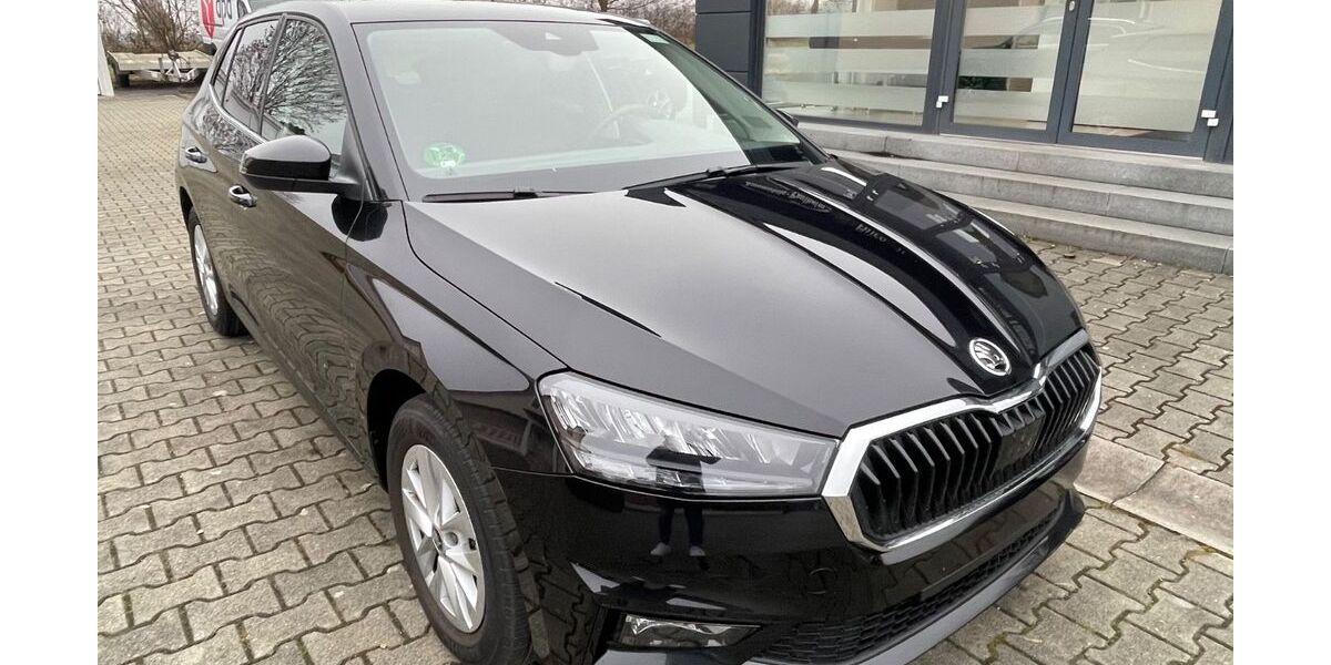 Skoda Fabia 19.603 km 18.999 &euro; Kammeltal/Egenhofen 89358