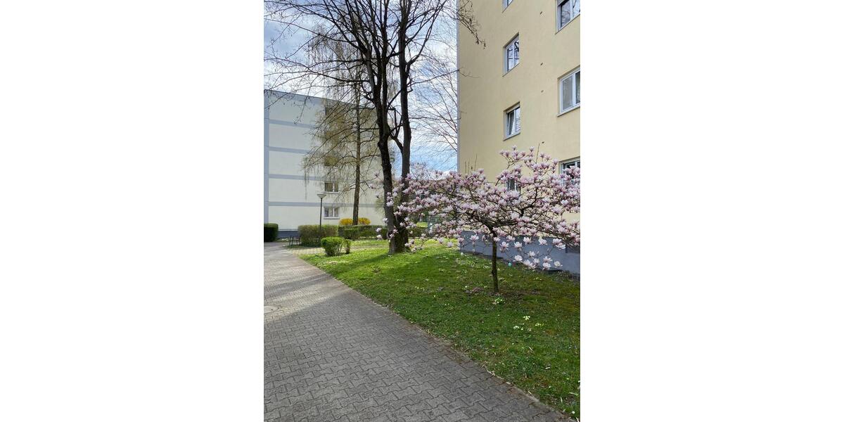 Hochparterre Ulm Söflingen - 1.5 Zimmer, 38 m&sup2;, 167.500&euro; | Angebot:26215229