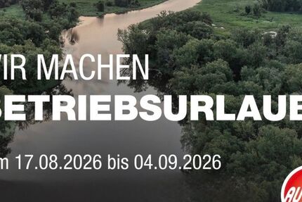 Seat Ibiza 25.695 km 18.900 &euro; Günzburg 89312