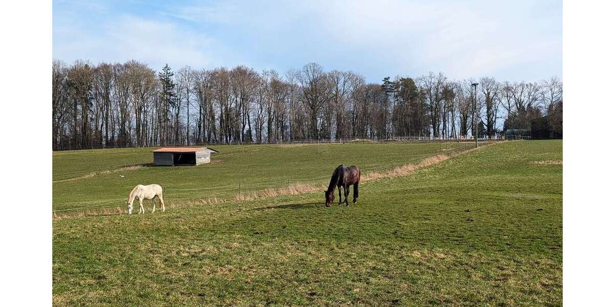 Etagenwohnung Dietenheim - 3.5 Zimmer, 76 m&sup2;, 165.000&euro; | Angebot:23754169