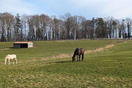 Wohnung Dietenheim - 3.5 Zimmer, 76 m&sup2;, 165.000&euro; | Angebot:23754169