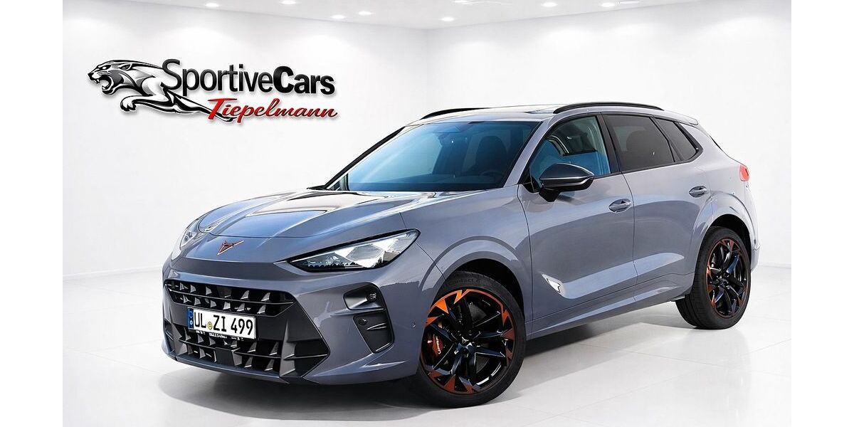 Cupra Terramar 23.875 km 39.800 &euro; Dellmensingen 89155