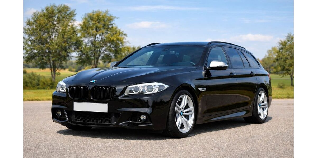 BMW M550 177.000 km 19.299 &euro; Rottenacker 89616
