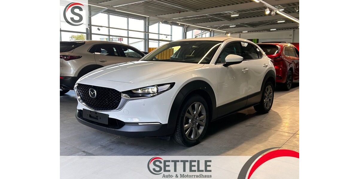 Mazda CX-3 20.637 km 24.190 &euro; Neu-Ulm 89231