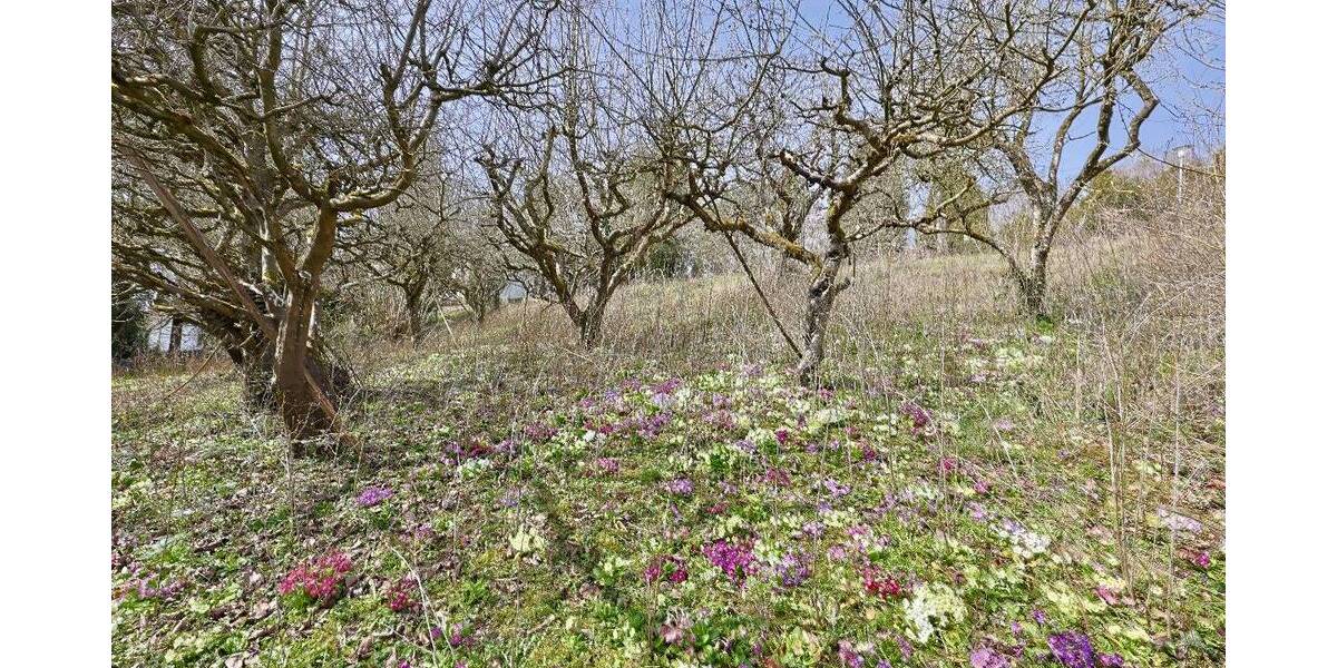 Grundstück Erbach - 1.576.000&euro; | Angebot:26082710